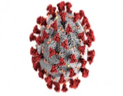  العرب اليوم - دراسة تؤكد أن أوميكرون أقل تسببا في الإصابة بفيروس كورونا لفترة طويلة