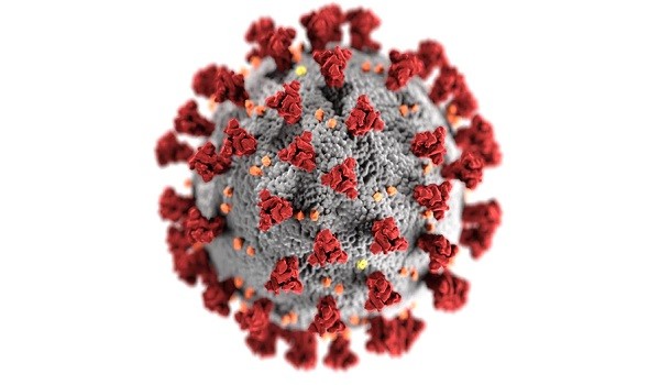علماء يتوصلون إلى أصل فيروس كورونا