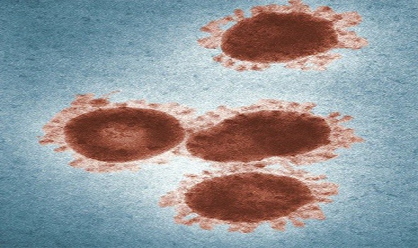 اكتشاف خطورة المتغير الجديد للفيروس التاجي المستجد