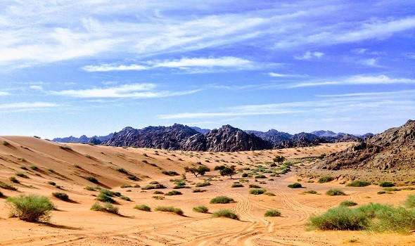 وادي الديسة لوحة الجاذبية في معادلة الطبيعة السعودية