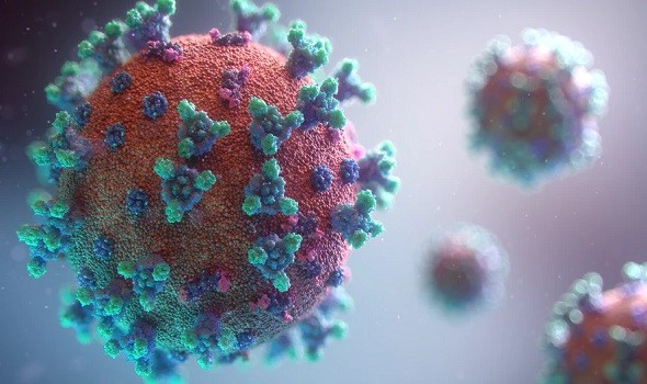  العرب اليوم - ظهور أولى إصابات فيروس "كورونا" بين الضباع في أميركا