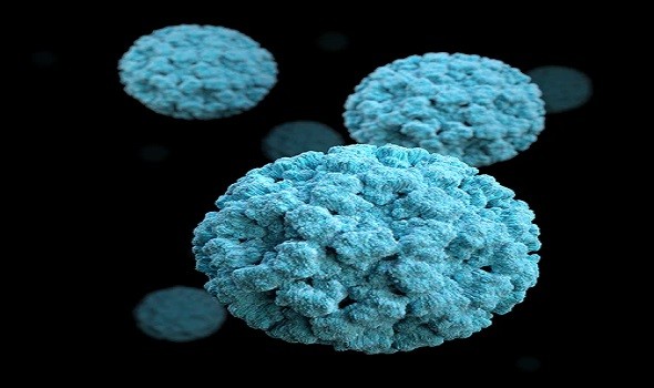  العرب اليوم - عشرة أسباب علمية تدعم إنتقال فيروس SARS-CoV-2 في الهواء