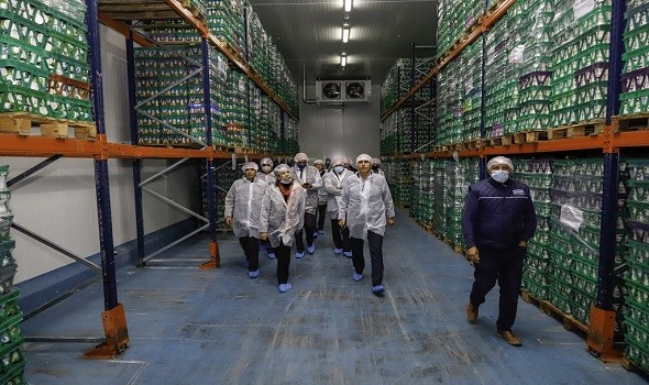  العرب اليوم - مواجهة التضخم الروسي تربك أسواق القمح العالمي