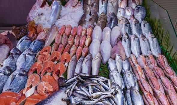  العرب اليوم - مزايا تنافسية تُمكن مصر من استدامة الاستزراع المائي للأسماك أدت إلى نمو سريع في الإنتاج