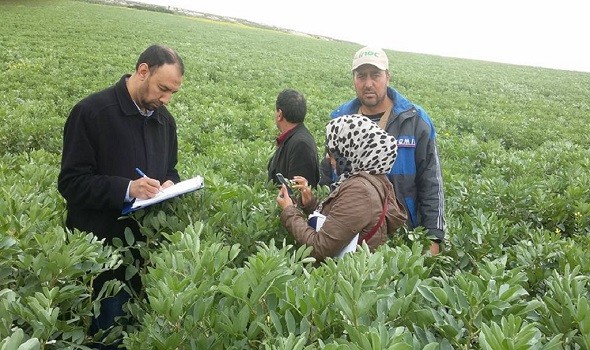  العرب اليوم - تقرير يوضح  قفزة في صادرات المنتجات الزراعية في روسيا