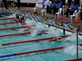  العرب اليوم - التونسي أحمد الحفناوي يحرز ذهبية في سباق 400 متر حرة للسباحة في أولمبياد طوكيو