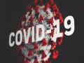  العرب اليوم - دراسة تربط "كوفيد-19" بزيادة خطر الإصابة بمرض السكري من النوع الأول عند الأطفال