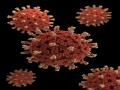  العرب اليوم - فيروس كورونا ينتشر في الخلايا البشرية عبر البروتينات المعدنية