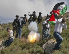  العرب اليوم - الاحتلال الإسرائيلي يعتدي على رئيس مجلس "بيت دجن" شرق نابلس