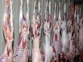  العرب اليوم - دراسة تؤكد أن تناول اللحوم بكميات قليلة يقي من السرطان