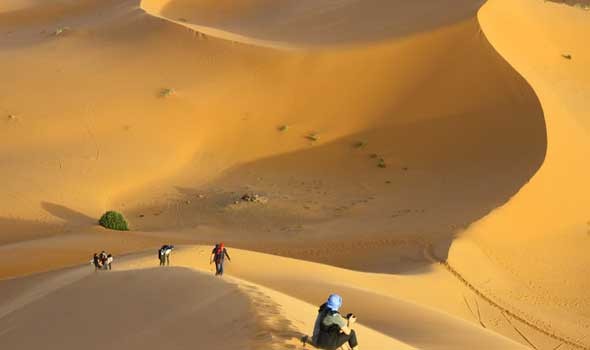 مصرع ستة مهاجرين في تونس هلكوا عطشا في قلب الصحراء