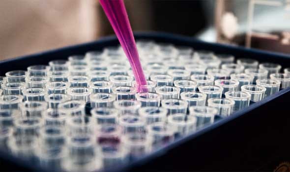  العرب اليوم - "قفزة" في علاج السرطان تسمح بإعادة "تصميم" خلايا المناعة