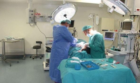  العرب اليوم - جراحون أمريكيون نجحوا بزراعة كلية خنزير في جسم إنسان