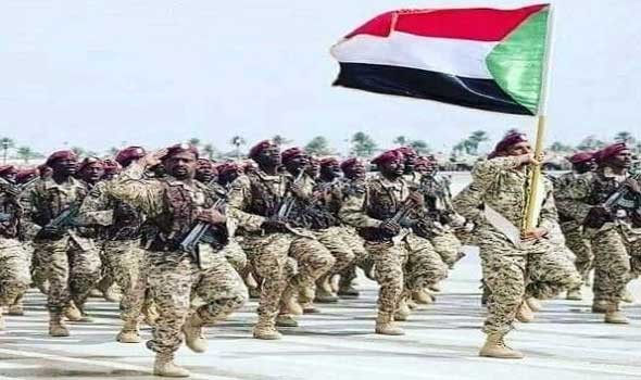  العرب اليوم - قوات سودانية تحبط محاولة تهريب ذخائر على الحدود مع ليبيا