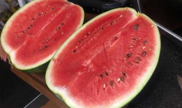 7 أغذية تقوي جهاز مناعتك خلال موسم تغير الطقس أبرزها البطيخ