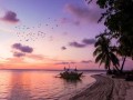  العرب اليوم - جزر الباهاما وجهة مثالية لعُشاق الشواطئ