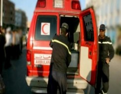  العرب اليوم - تفحم 7 مواطنين في حادث مروع في مصر