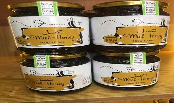  العرب اليوم - العثور على موطن نحل العسل الغربي الذي يستخدم لتلقيح المحاصيل في معظم أنحاء العالم