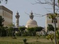  العرب اليوم - جامعة الأزهر تدرس إنشاء كليتي الزراعة والهندسة الزراعية بفرعها في المنيا