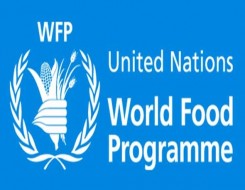  العرب اليوم - برنامج الأغذية العالمي يُحذر من عواقب ارتفاع وانتشار مستوى المجاعة في السودان