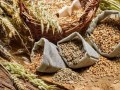  العرب اليوم - الهند تتعهد بمواصلة تصدير القمح إلى الدول التي تحتاجه رغم قرار الحظر
