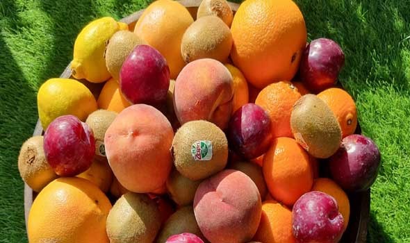 6 أنواع من الفاكهة تحتوي على نسبة منخفضة من السكر