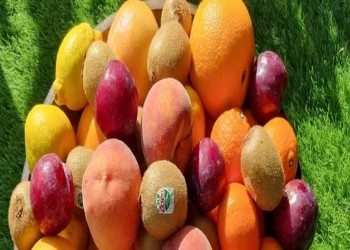  العرب اليوم - أنواع من الفواكه تحتوي على نسبة عالية من البروتين