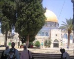  العرب اليوم - مستوطنون إسرائيليون يقتحمون المسجد الأقصى بحماية شرطة الاحتلال