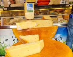  العرب اليوم - فوائد تناول الجبنة يومياً وتأثيرها على صحة الجسم