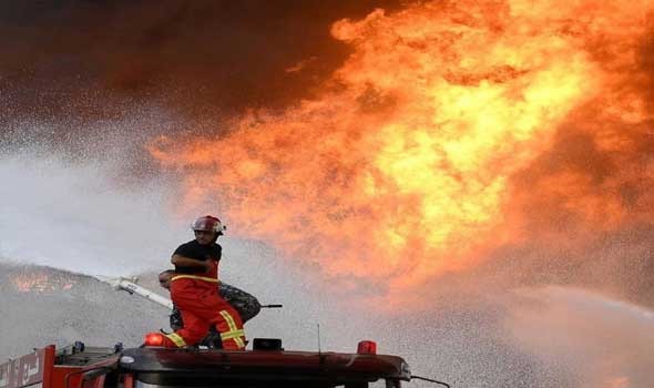 تونس تُسيطر على حريق جبل برج السدرية قرب العاصمة
