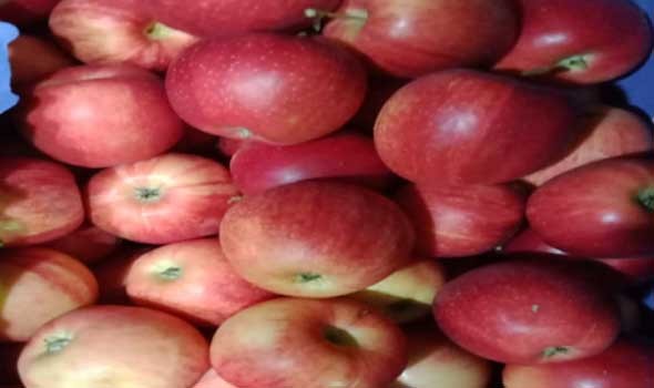 التفاح يَمنَح الجسم طاقة وحيوية عند تناولها يومياً