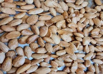  العرب اليوم - جوز البرازيل كنز غذائي يعزّز صحتك من الداخل إلى الخارج