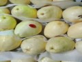  العرب اليوم - فوائد الجوافة للنساء لا توصف!