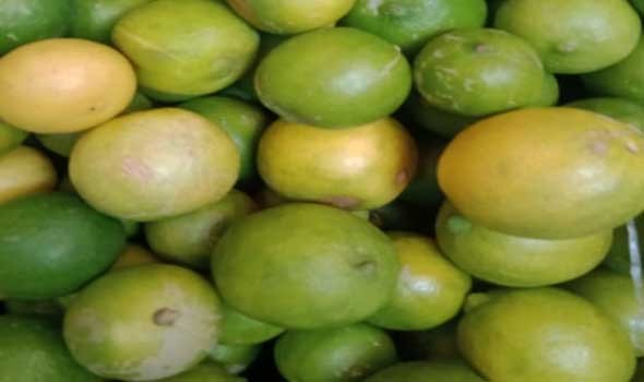  العرب اليوم - الليمون الأخضر يحمي من الجلطات ويقلل من الإصابة بالسمنة وأمراض القلب