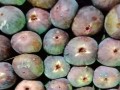  العرب اليوم - سبع فواكه خريفية لتعزيز المناعة والطاقة وصحة القلب