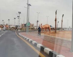  العرب اليوم - مصر تطلق ثلاث رحلات مباشرة بين تل أبيب وشرم الشيخ