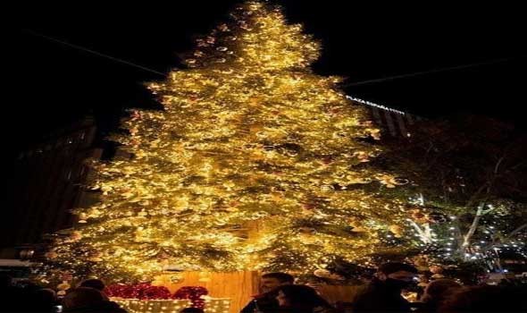  العرب اليوم - السعودية تحسم الجدل المثار بشأن إمكانية استيراد شجرة "الكريسماس"