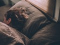  العرب اليوم - دراسة تُحذر من النوم خلال النهار يسبب الإصابة بالسكتة الدماغية