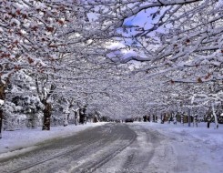  العرب اليوم - العاصفة الثلجية تشل الحياة في الولايات المتحدة وتحصد 13 ضحية