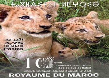  العرب اليوم - بريد المغرب يحتفل بذكرى تأسيس حديقة الحيوانات في الرباط بإصدار طابع بريدي