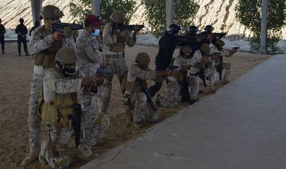  العرب اليوم - الجيش المصري يحبط تهريب شحنة كبيرة من الأسلحة والمخدرات
