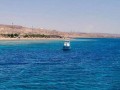  العرب اليوم - أجمل  جزر سياحية عربية ذات الشواطئ ذات مياه صافية وحياة بحرية غنية