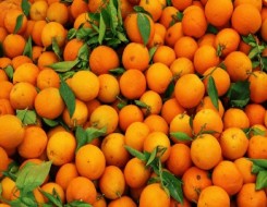  العرب اليوم - فوائد البرتقال للجسم