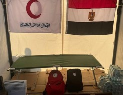  العرب اليوم - الهلال الأحمر المصري يؤكد أن قوافل المساعدات إلى غزة مستمرة والدعم الإنساني لا يتوقف