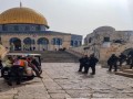  العرب اليوم - اكتشاف بصمة يد غامضة محفورة على أسوار مدينة القدس المحتلة تعود للقرن العاشر الميلادي