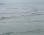  العرب اليوم - فيضانات عارمة تضرب مقاطعة جوانجدونج جنوبي الصين