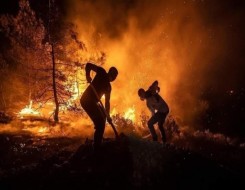  العرب اليوم - إعلان حالة الطوارئ بعد حريق هائل في ولاية واشنطن