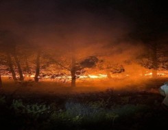  العرب اليوم - كاليفورنيا تلجأ إلى النيران لمكافحة الحرائق المدمّرة