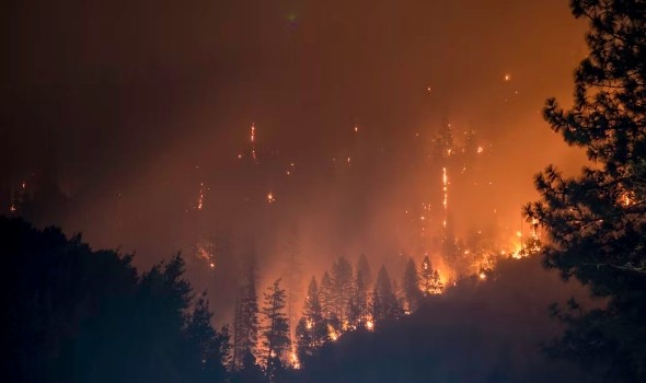  العرب اليوم - حرائق الغابات تلتهم 470 ألف دونم في اليونان خلال أسبوعين