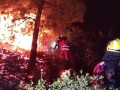  العرب اليوم - ارتفاع حصيلة قتلى حرائق الغابات في تشيلي إلى 56 والرئيس يزور منطقة الكارثة